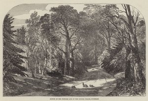 Boceto en el sitio propuesto del Palacio de Cristal, Sydenham de Samuel Read